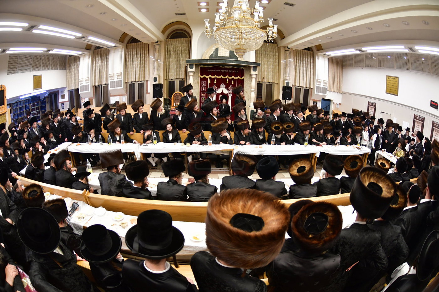 הרה"צ רבי אלימלך בידרמן באשדוד