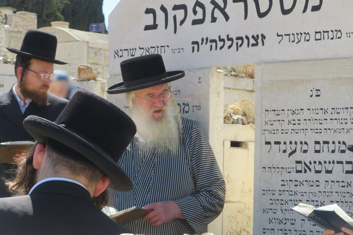 הילולא קדישא בסטרופקוב