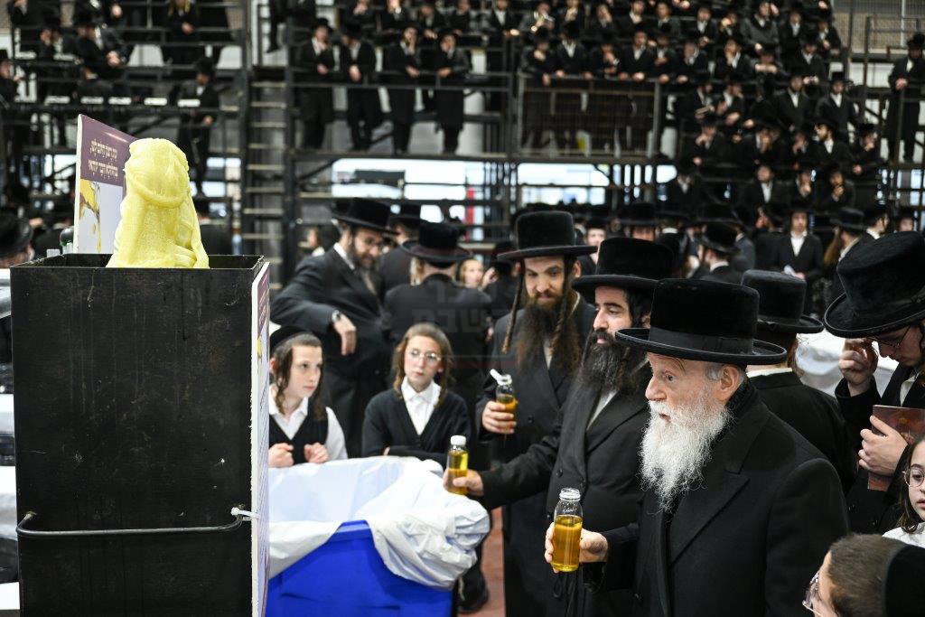ל"ג בעומר בחצה"ק צאנז