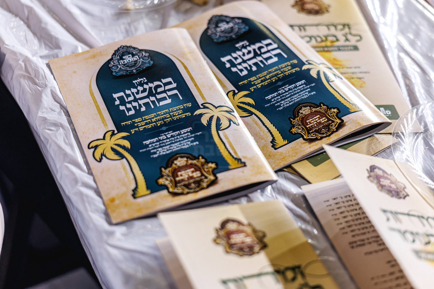 ל"ג בעומר וסיום כתיבת ס"ת בסאטמר
