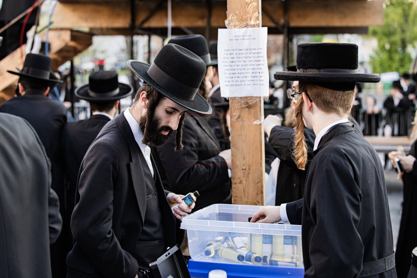 מעמד ההדלקה בחצה"ק סאטמר