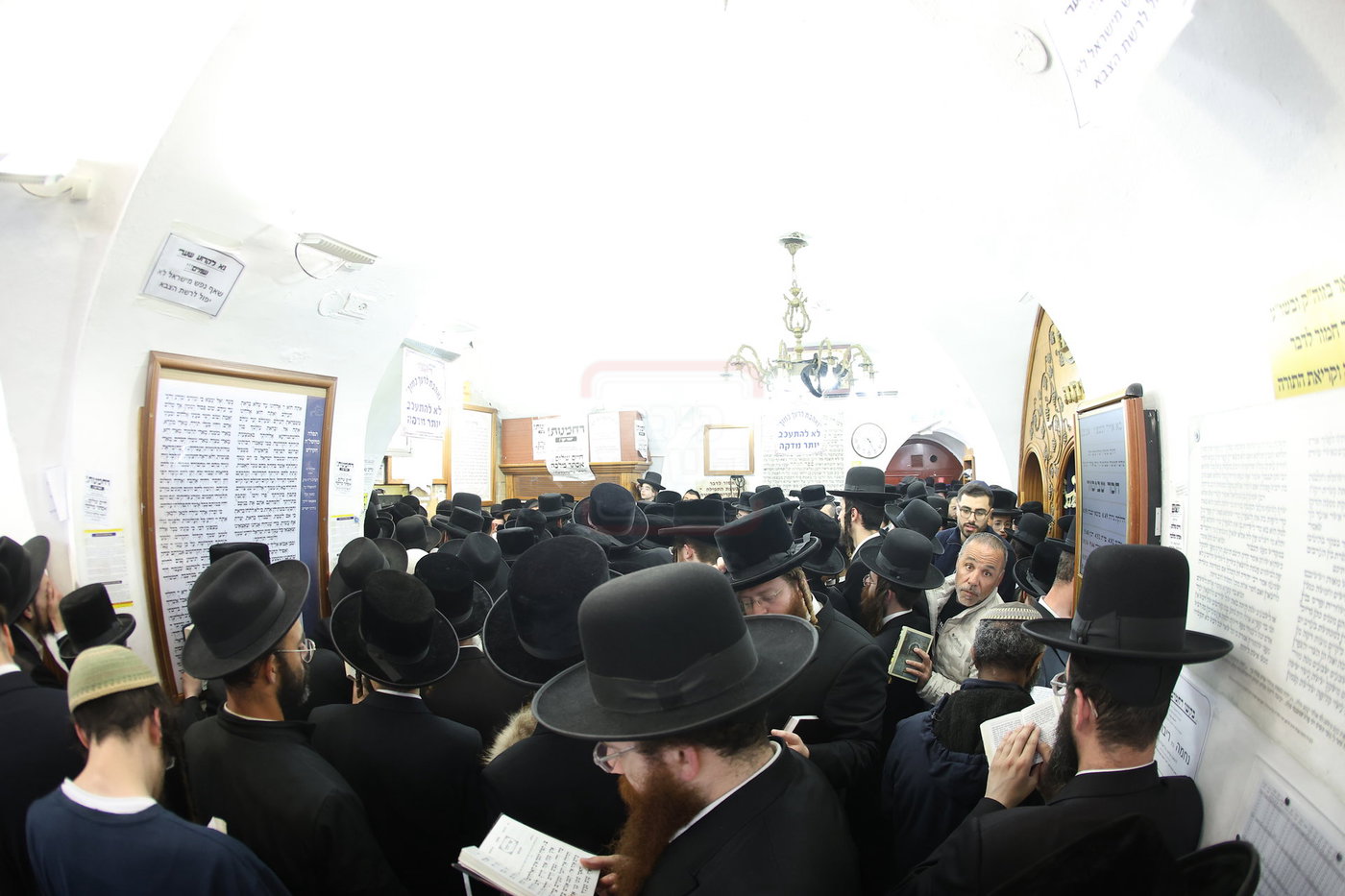 הגה"צ רבי מנחם ארנסטר במירון