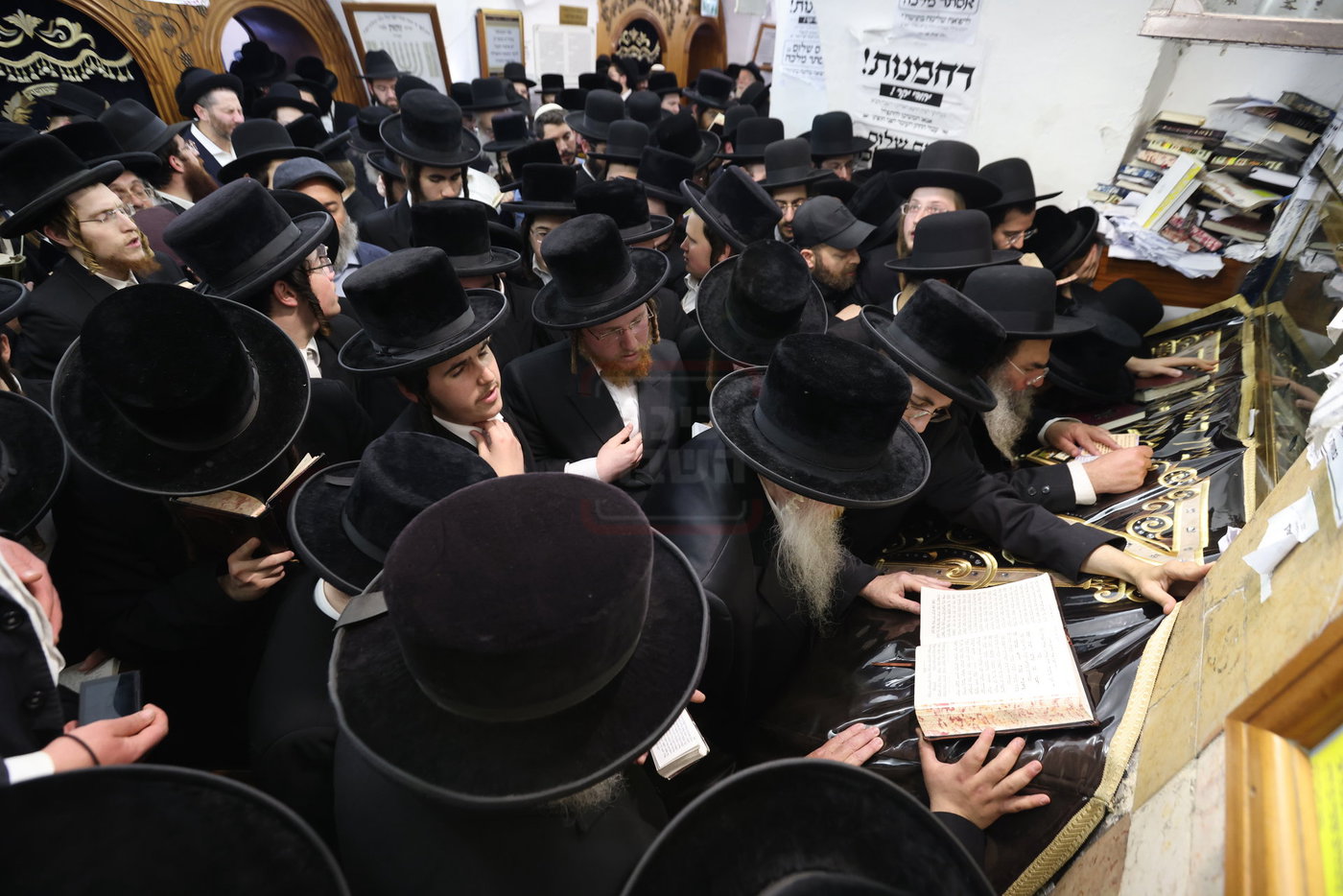 האדמו"ר מטשארנאביל במירון