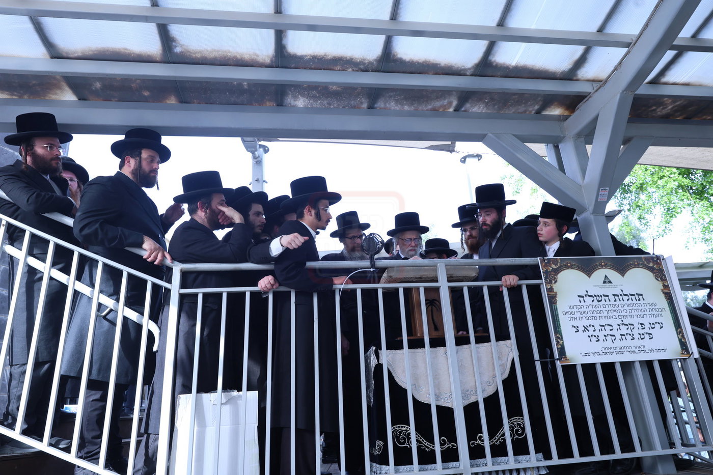 האדמו"ר מסערט ויז'ניץ בתפילת השל"ה בטבריה