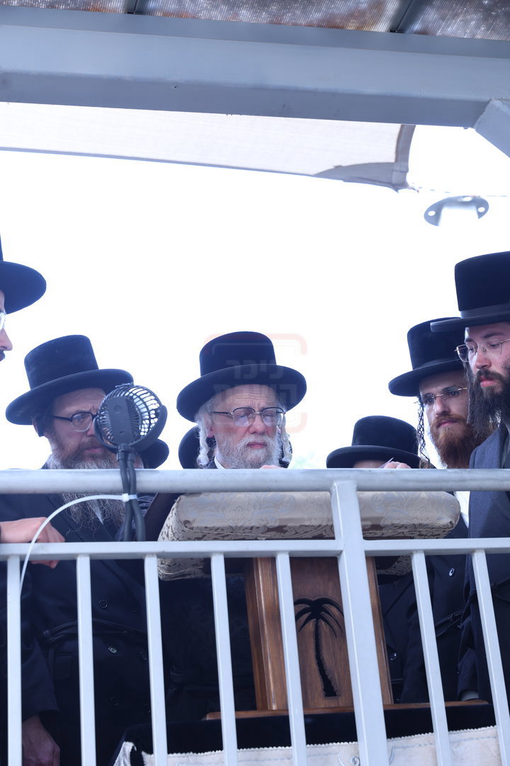 האדמו"ר מסערט ויז'ניץ בתפילת השל"ה בטבריה
