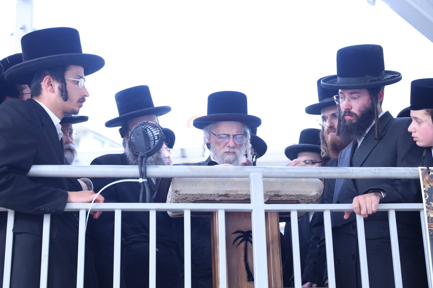 האדמו"ר מסערט ויז'ניץ בתפילת השל"ה בטבריה