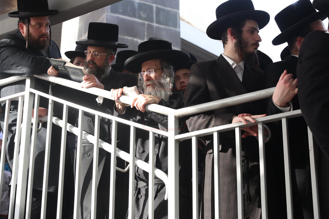הגה"צ רבי אלימלך בידרמן בתפילת השל"ה