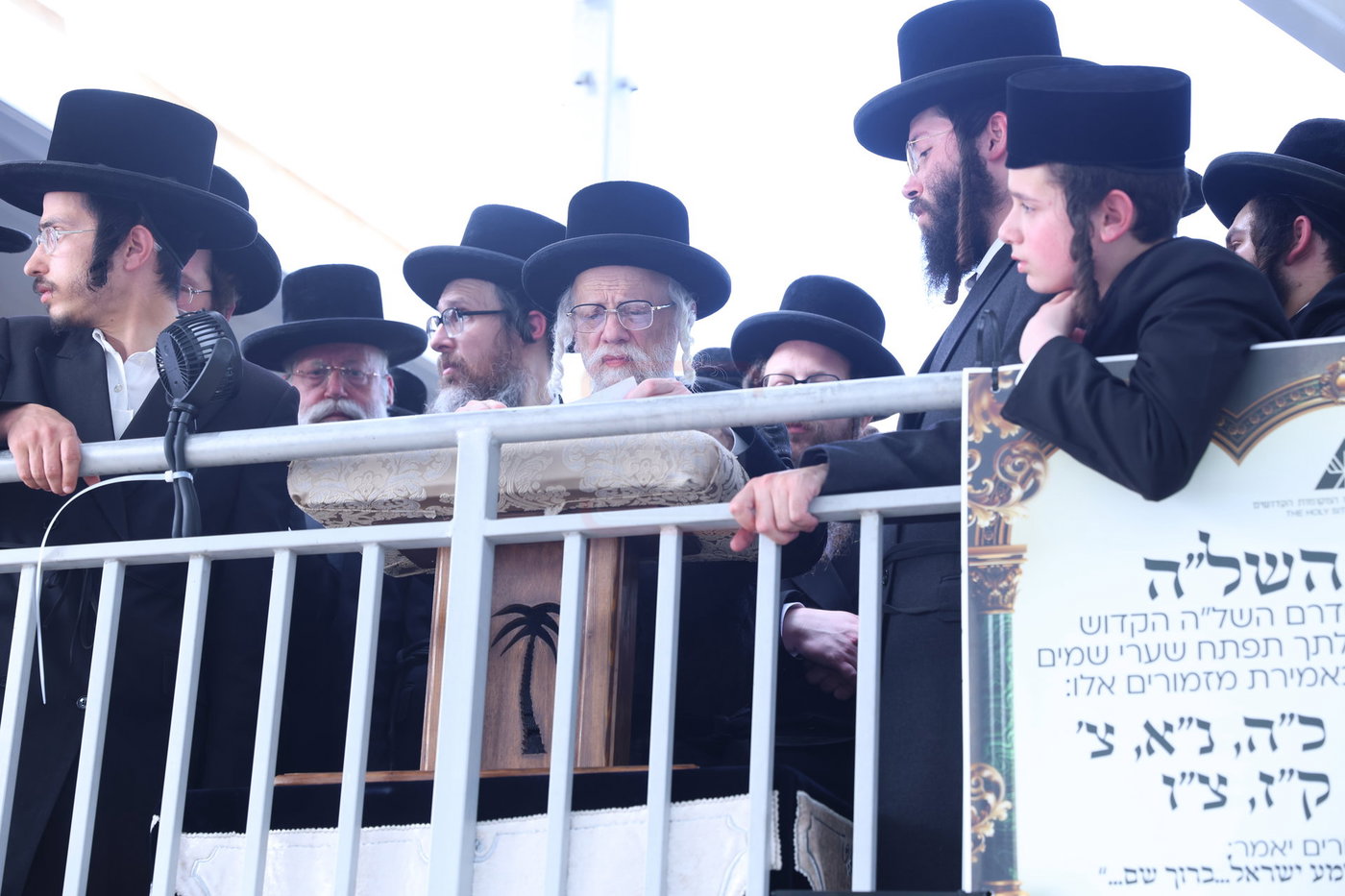 האדמו"ר מסערט ויז'ניץ בתפילת השל"ה בטבריה