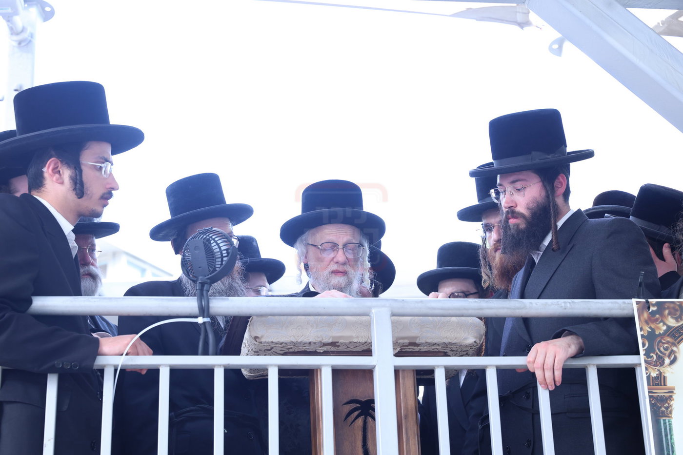 האדמו"ר מסערט ויז'ניץ בתפילת השל"ה בטבריה