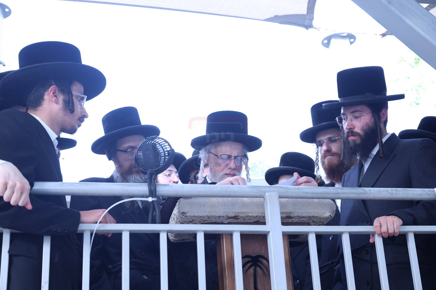 האדמו"ר מסערט ויז'ניץ בתפילת השל"ה בטבריה