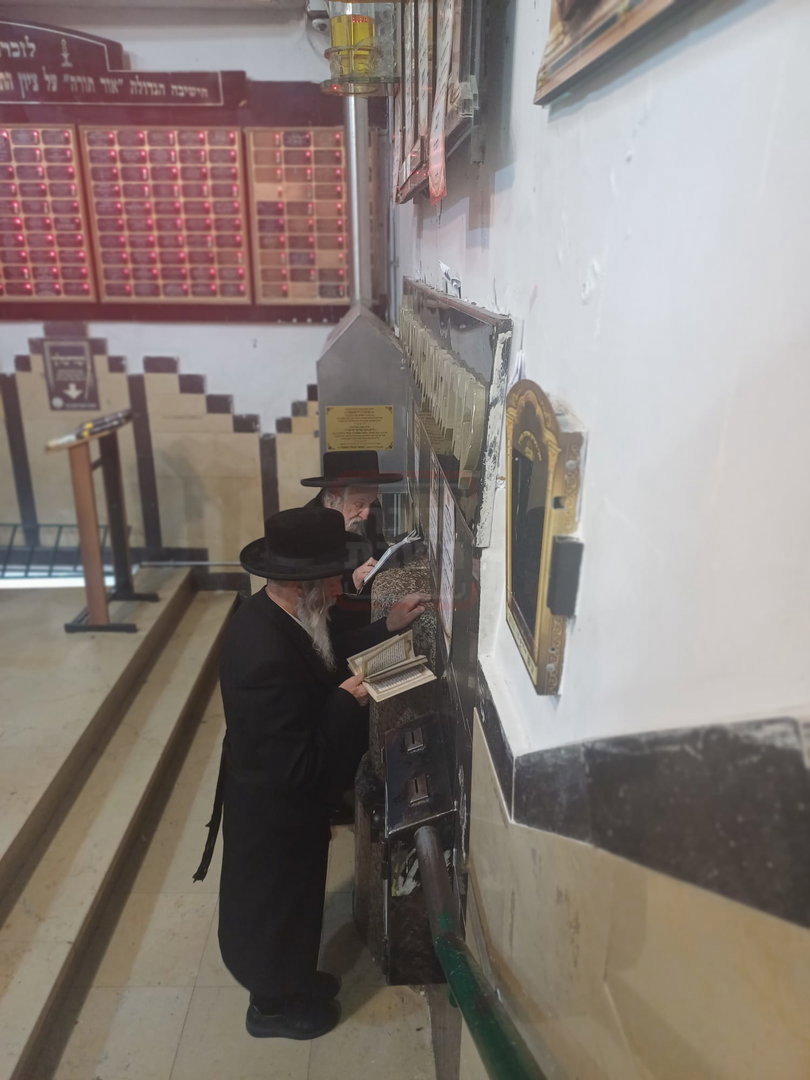 האדמו"ר מזלאטשוב בתפילה בעיה"ק טבריה