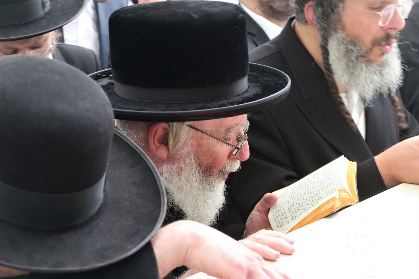 הגאון רבי חיים וייס בער"ח סיון בציון השל"ה הק' בטבריה