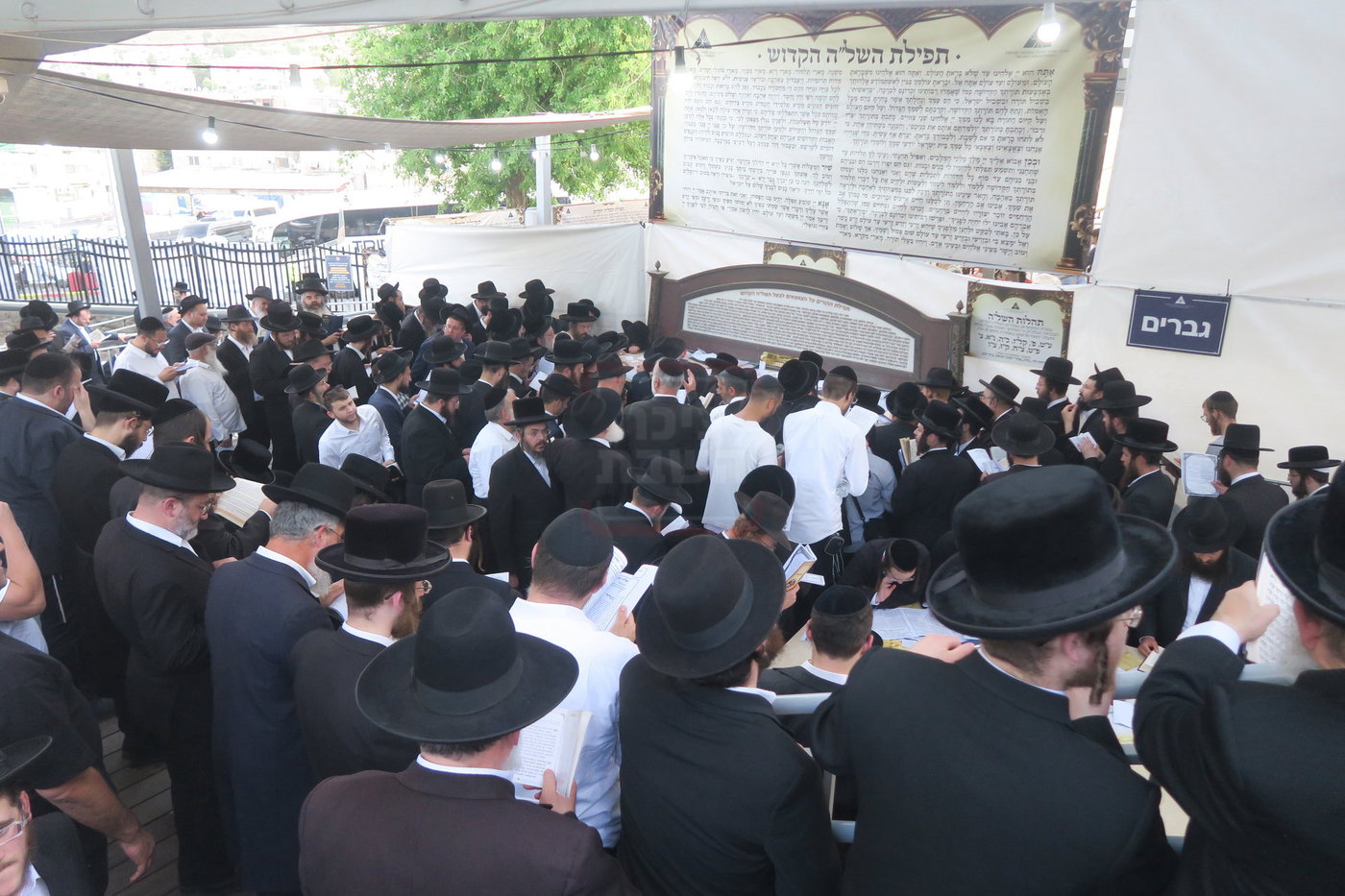 ער"ח סיון בציון השל"ה הק' בטבריה