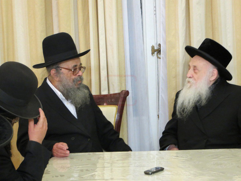 מראות חייו של הגאון רבי דוד שמידל זצ"ל