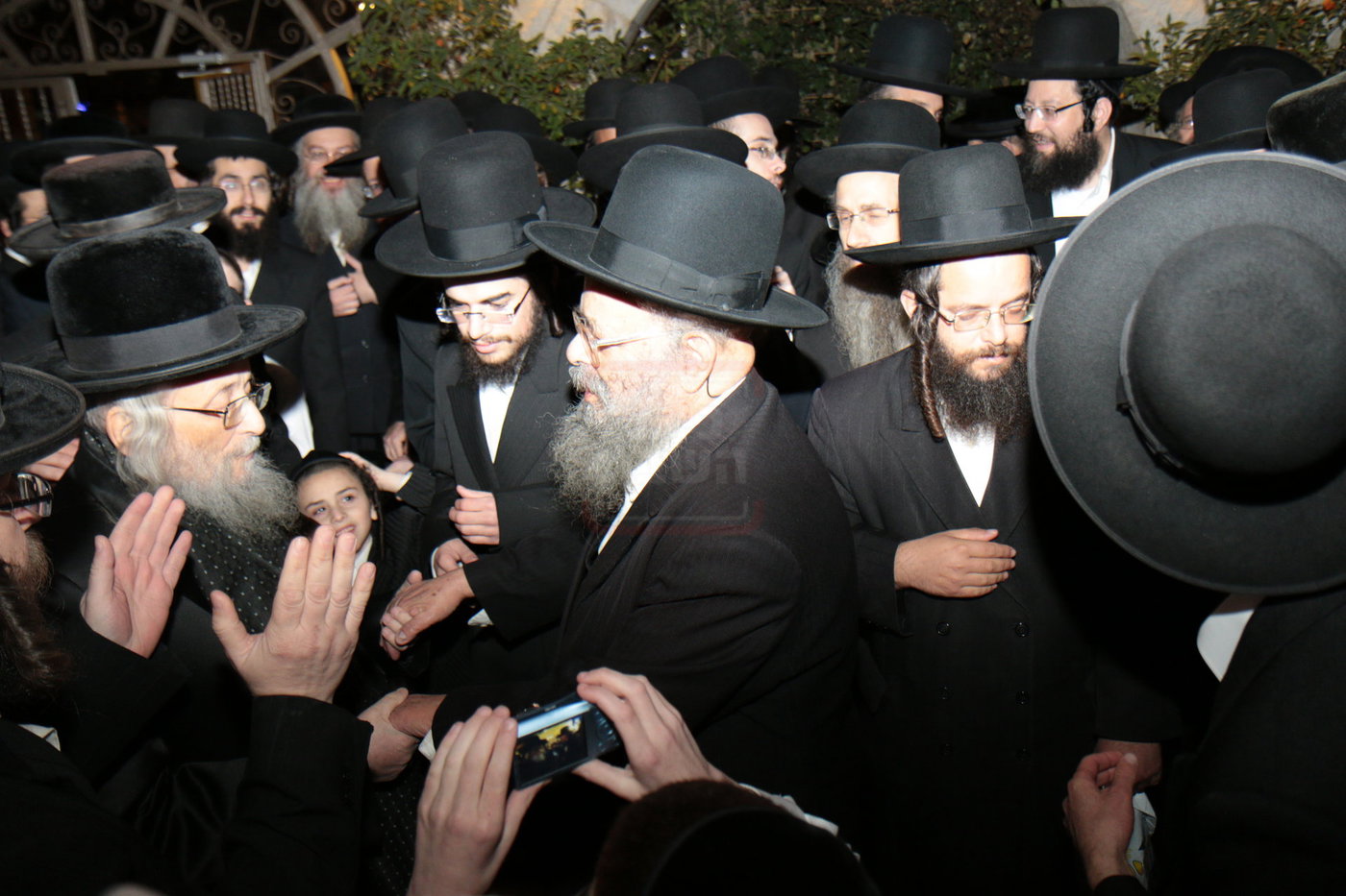 מראות חייו של הגאון רבי דוד שמידל זצ"ל