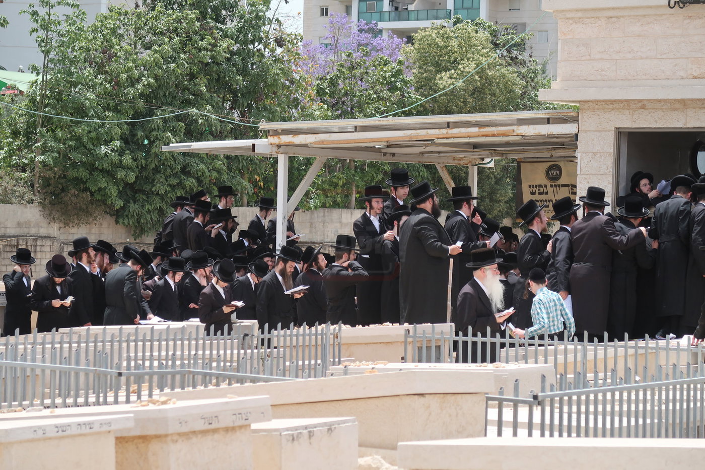 האדמו"ר מויז'ניץ בעליה לציון אהבת ישראל ב' סיון