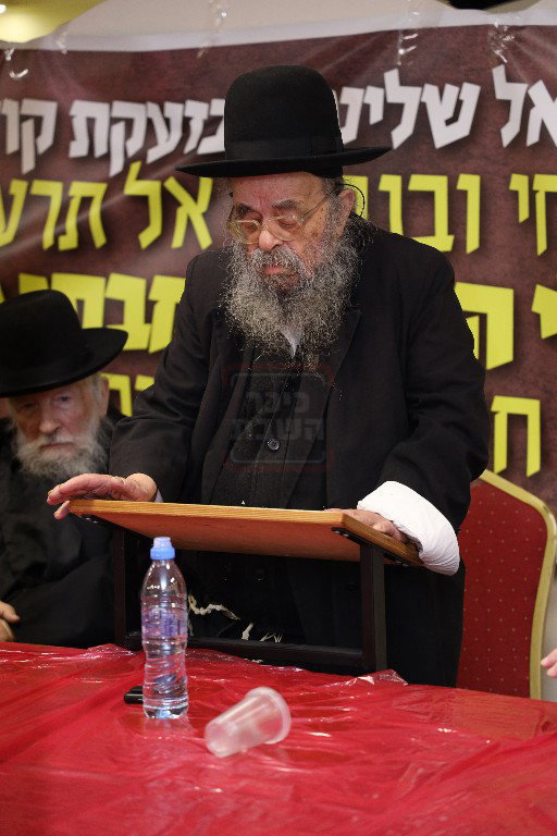 מראות חייו של הגאון רבי דוד שמידל זצ"ל