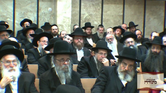 מראות חייו של הגאון רבי דוד שמידל זצ"ל