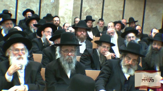 מראות חייו של הגאון רבי דוד שמידל זצ"ל