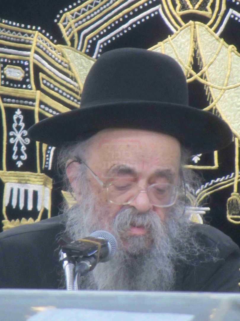 מראות חייו של הגאון רבי דוד שמידל זצ"ל