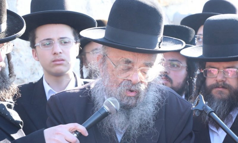 מראות חייו של הגאון רבי דוד שמידל זצ"ל