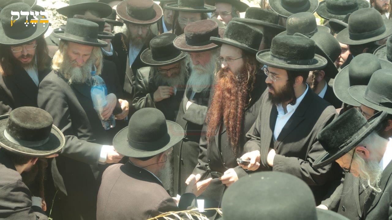 מראות חייו של הגאון רבי דוד שמידל זצ"ל
