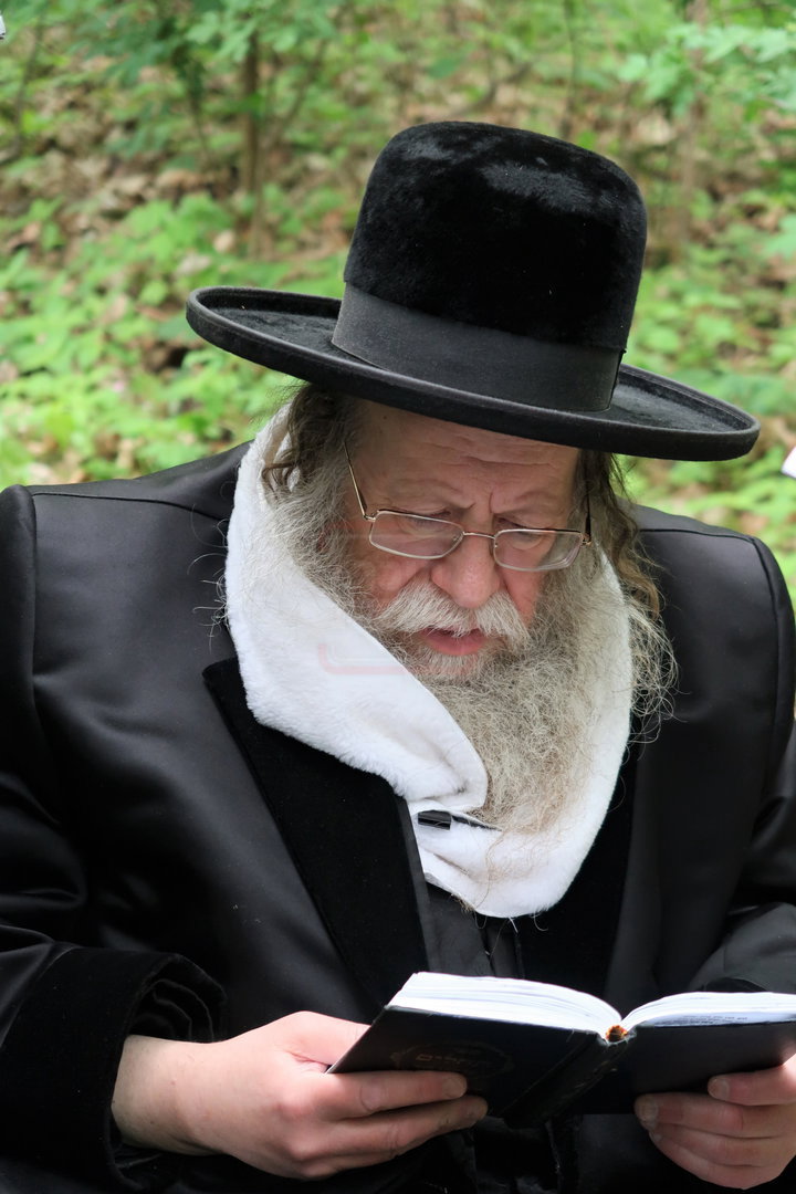 האדמו"ר מקוזמיר במסע הקודש לפולין