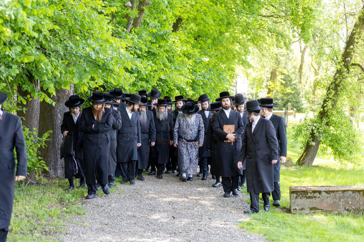 האדמו"ר מסאטמר בצאנז
