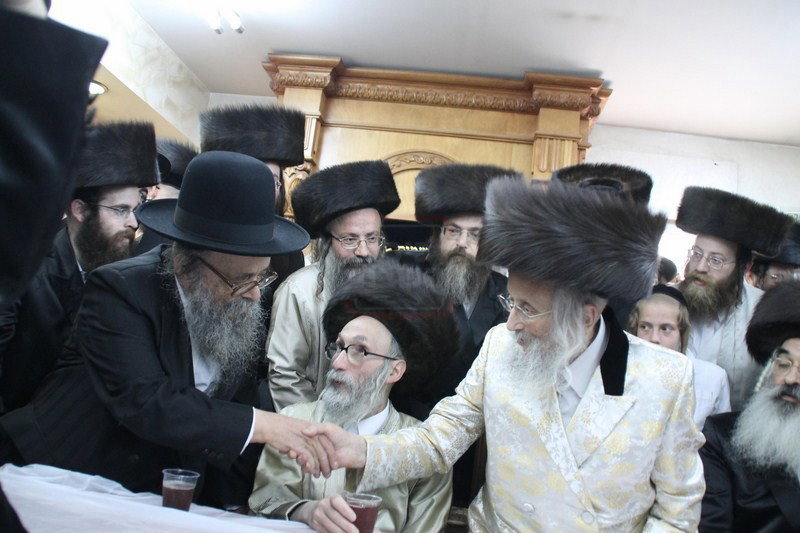 מראות חייו של הגאון רבי דוד שמידל זצ"ל
