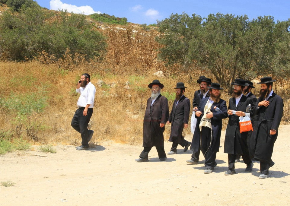 מראות חייו של הגאון רבי דוד שמידל זצ"ל