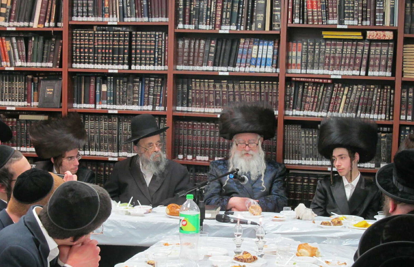 מראות חייו של הגאון רבי דוד שמידל זצ"ל