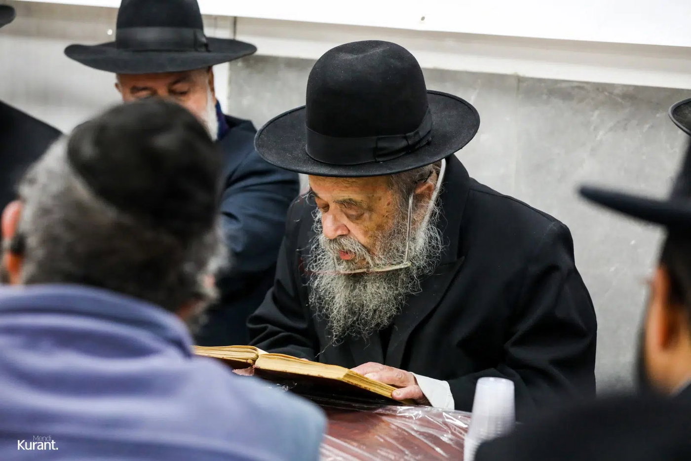 מראות חייו של הגאון רבי דוד שמידל זצ"ל