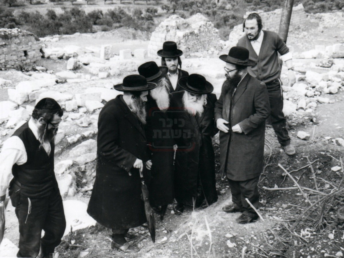 מראות חייו של הגאון רבי דוד שמידל זצ"ל