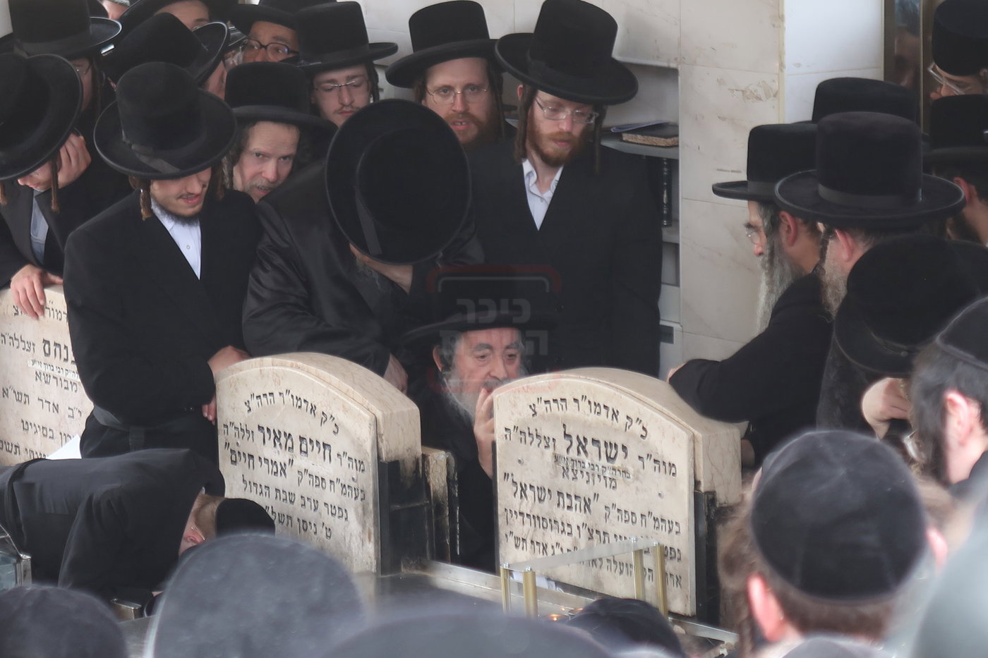 האדמו"ר מויז'ניץ בעליה לציון אהבת ישראל ב' סיון