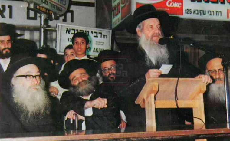 מראות חייו של הגאון רבי דוד שמידל זצ"ל