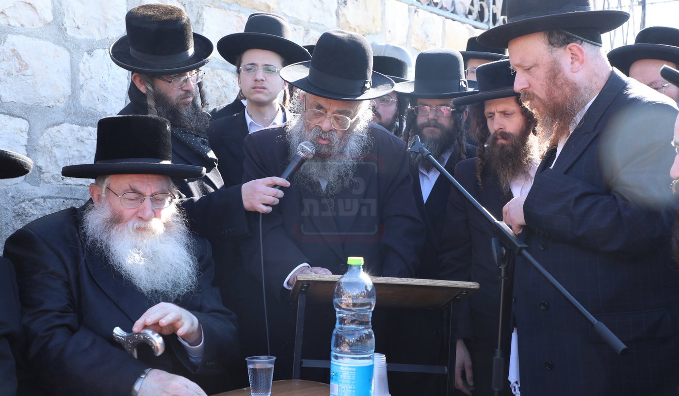 מראות חייו של הגאון רבי דוד שמידל זצ"ל