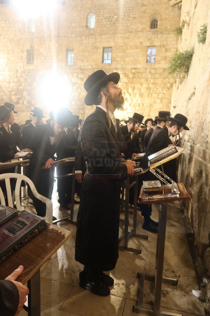 האדמו"ר מזוועהיל בכותל המערבי ערב חג השבועות
