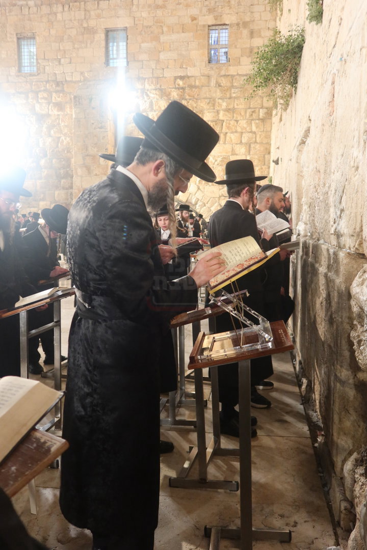 האדמו"ר מזוועהיל בכותל המערבי ערב חג השבועות