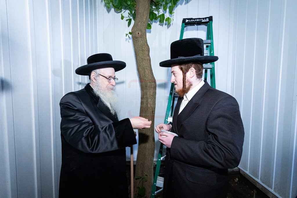 האדמו"ר מצאנז קלויזנבורג במצוות שילוח הקן