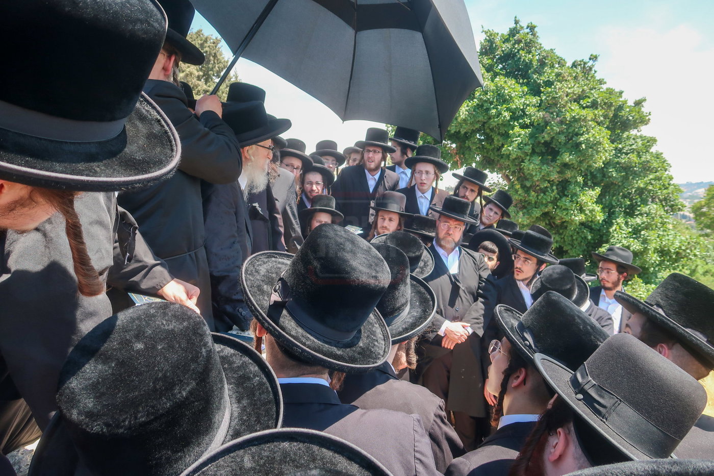 האדמו"ר מסערדאהעלי בהר הצופים