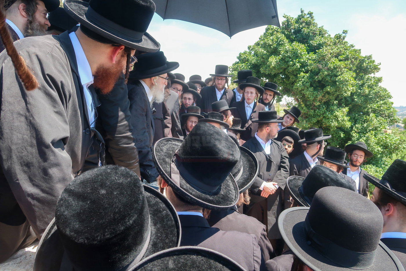 האדמו"ר מסערדאהעלי בהר הצופים