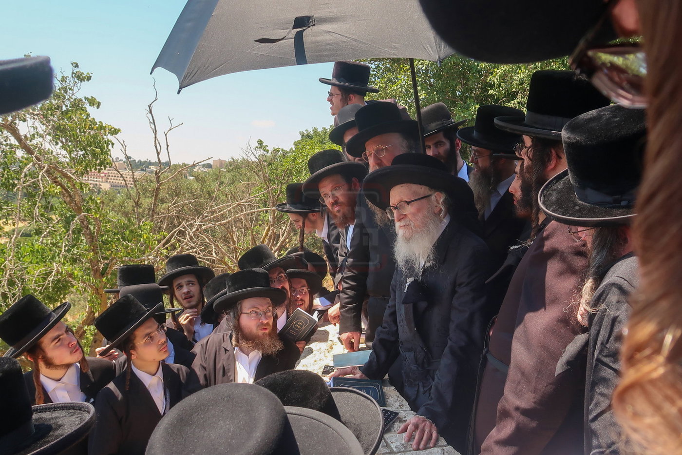 האדמו"ר מסערדאהעלי בהר הצופים