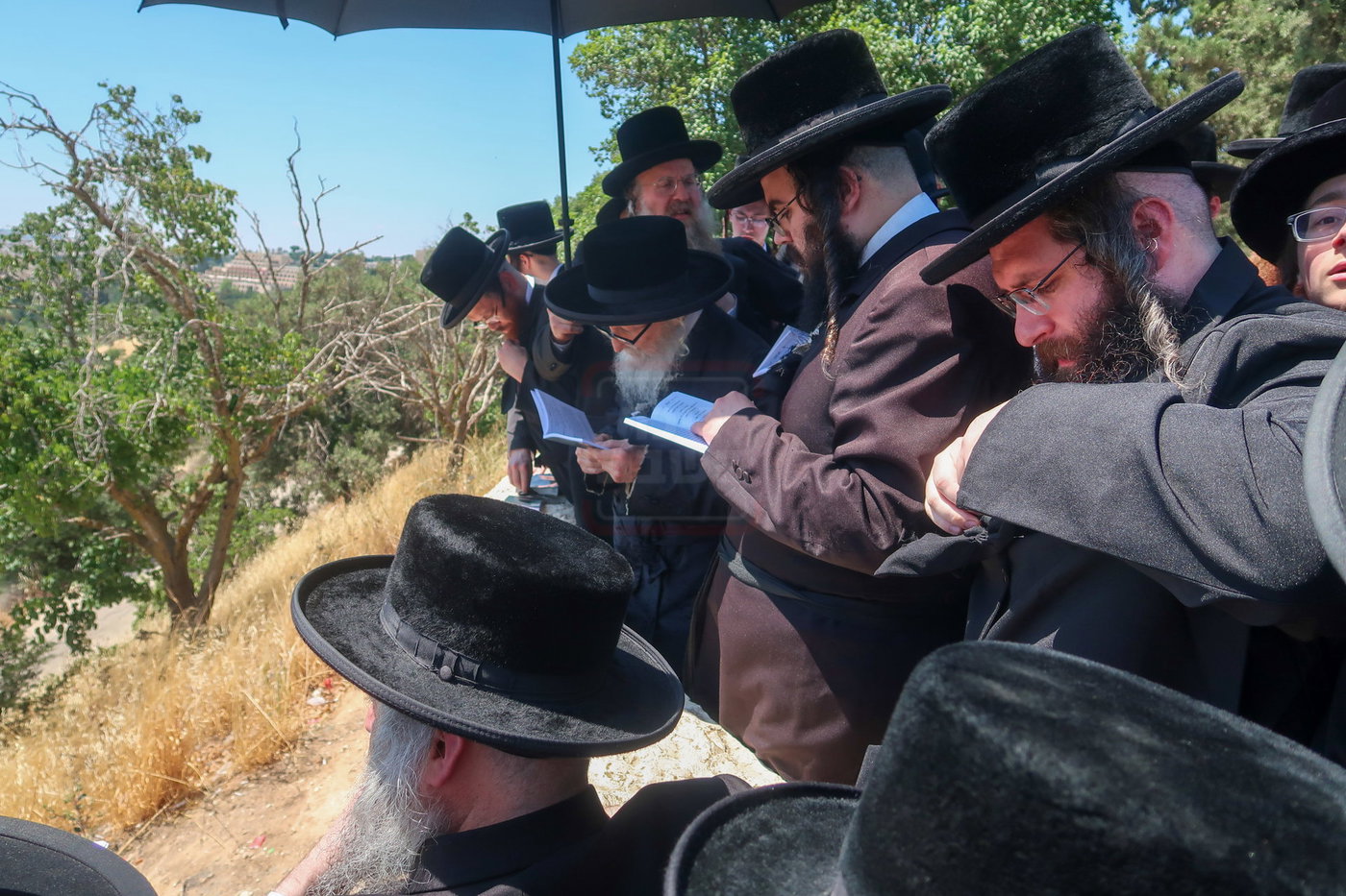 האדמו"ר מסערדאהעלי בהר הצופים