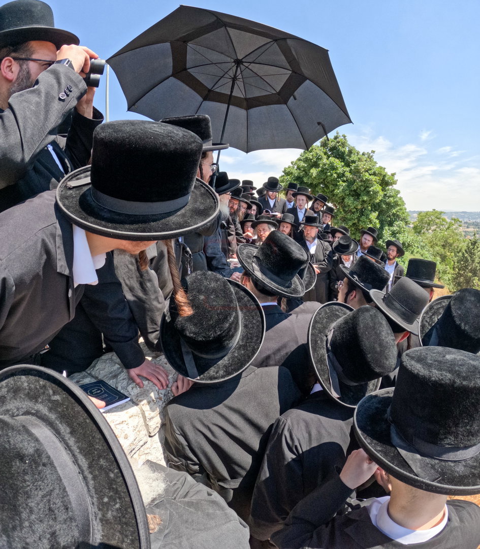 האדמו"ר מסערדאהעלי בהר הצופים