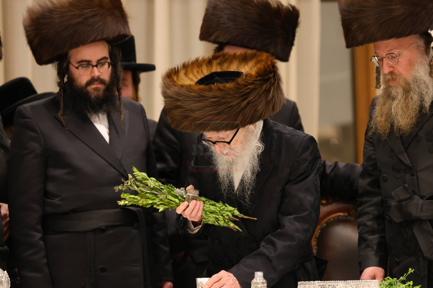 האדמו"ר מסערדאהעלי במוצ"ש בירושלים