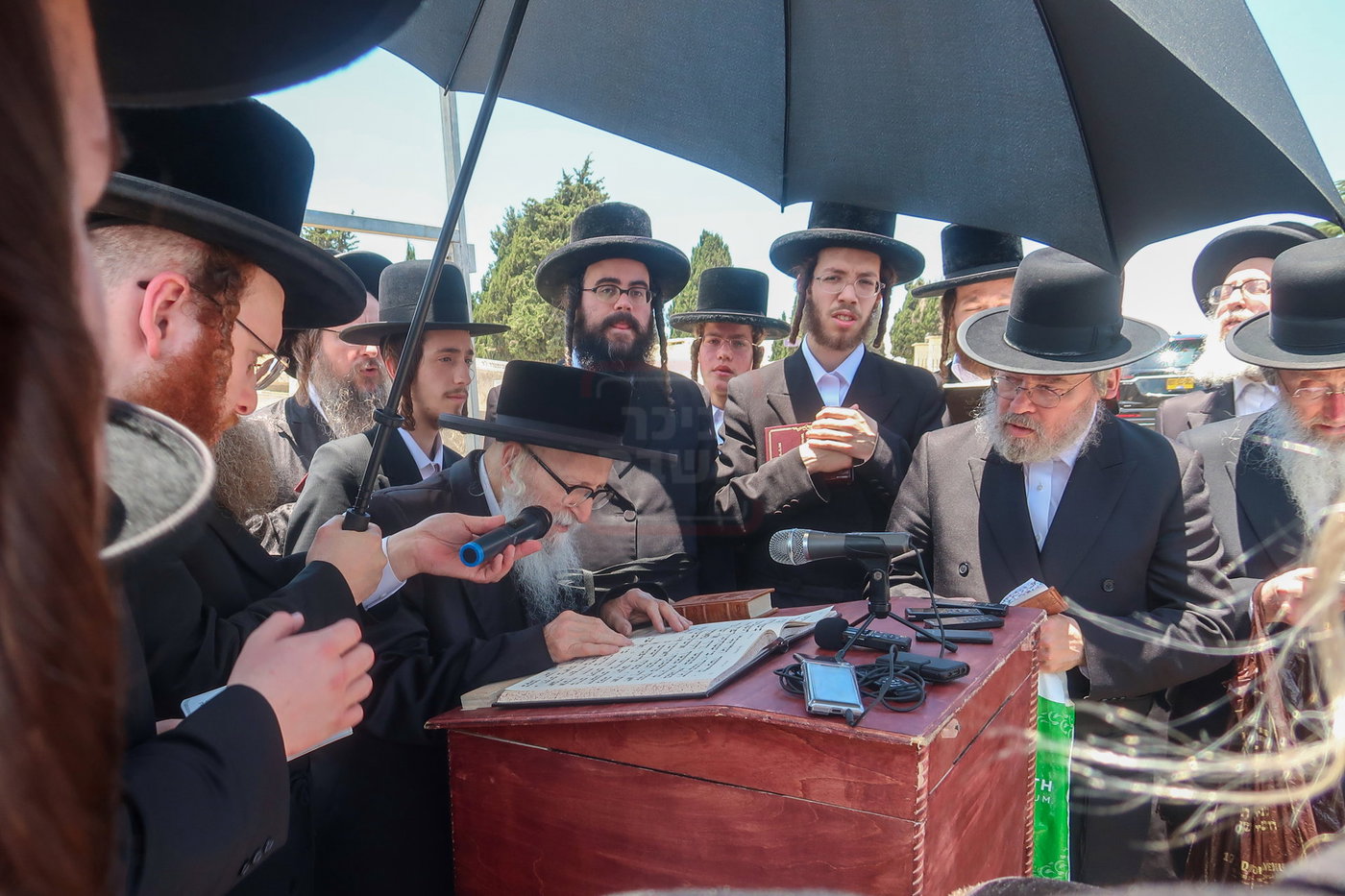 האדמו''ר מסערדאהעלי בארה"ק