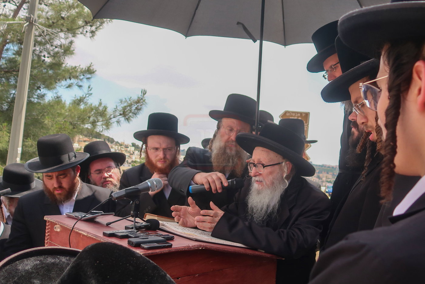 האדמו''ר מסערדאהעלי בארה"ק
