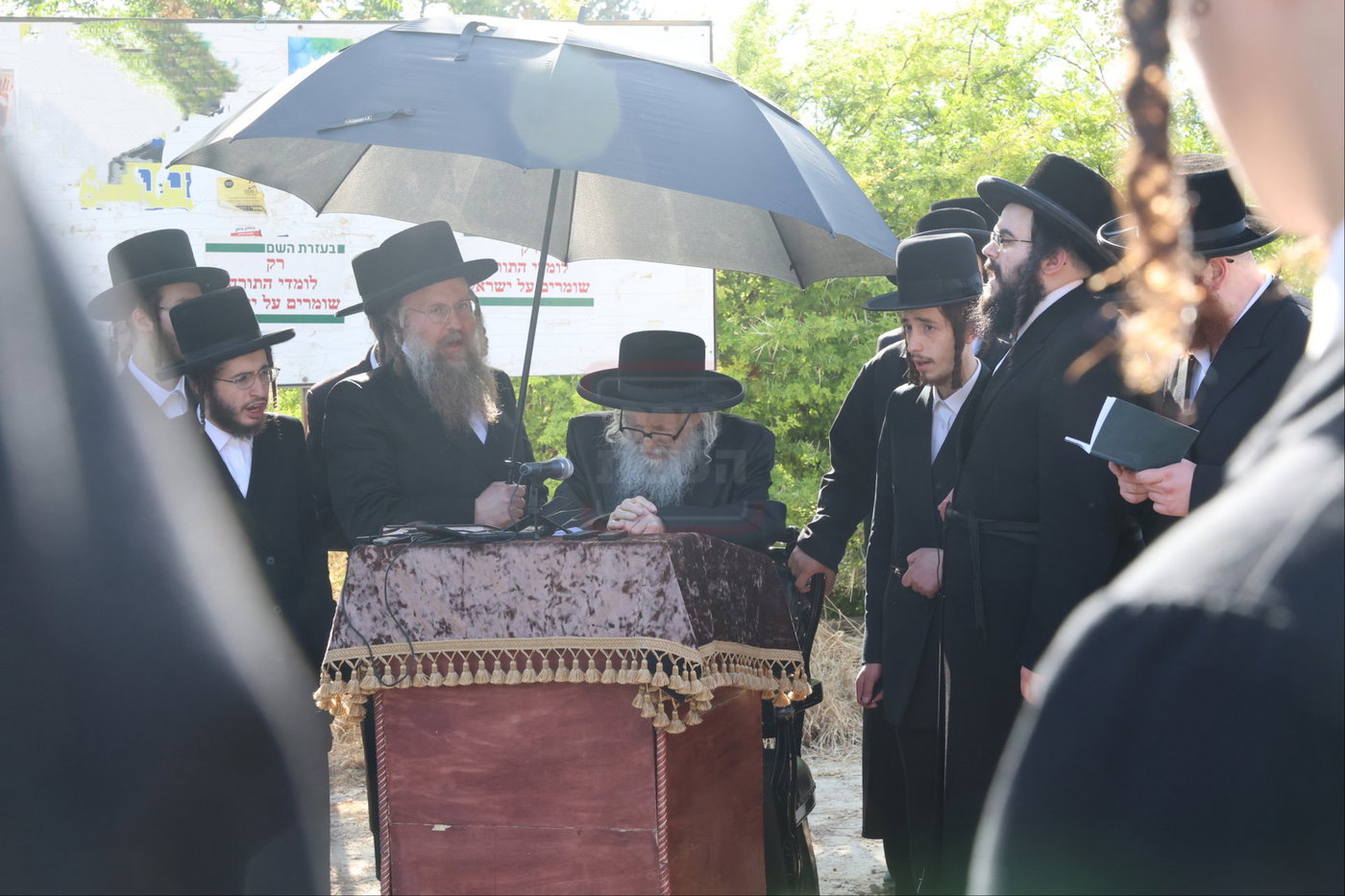 האדמו''ר מסערדאהעלי בארה"ק