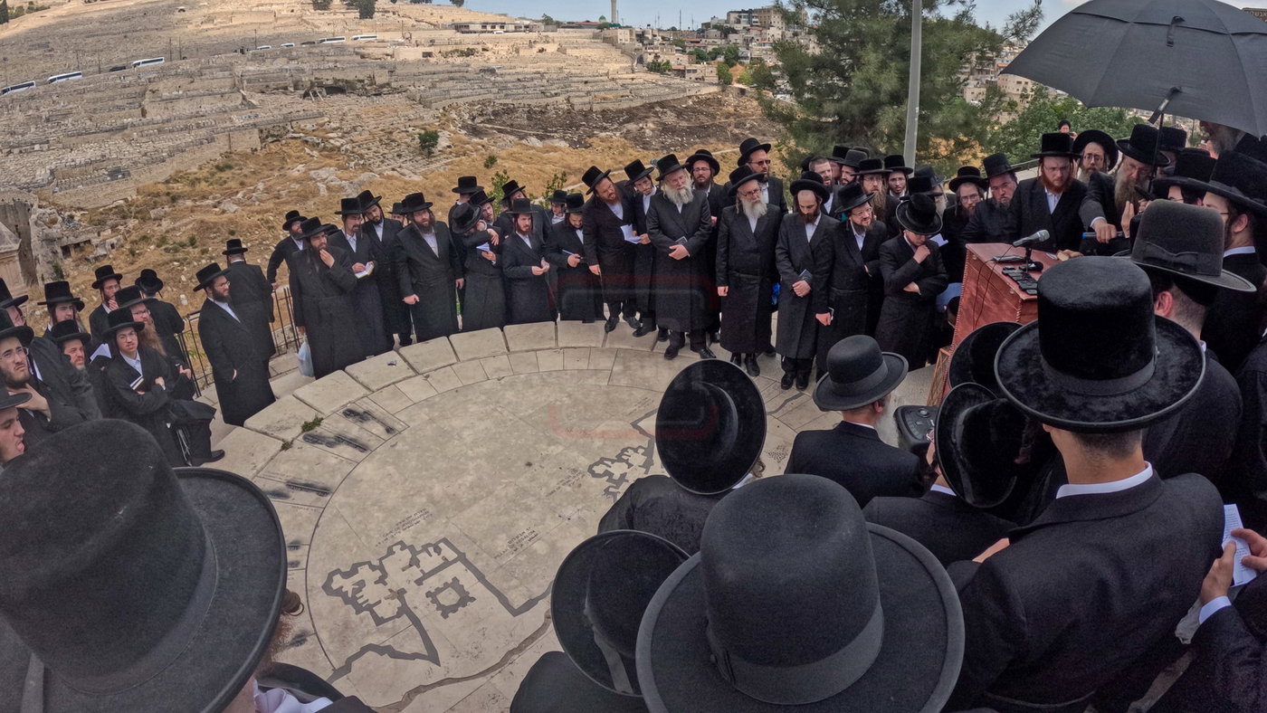 האדמו''ר מסערדאהעלי בארה"ק