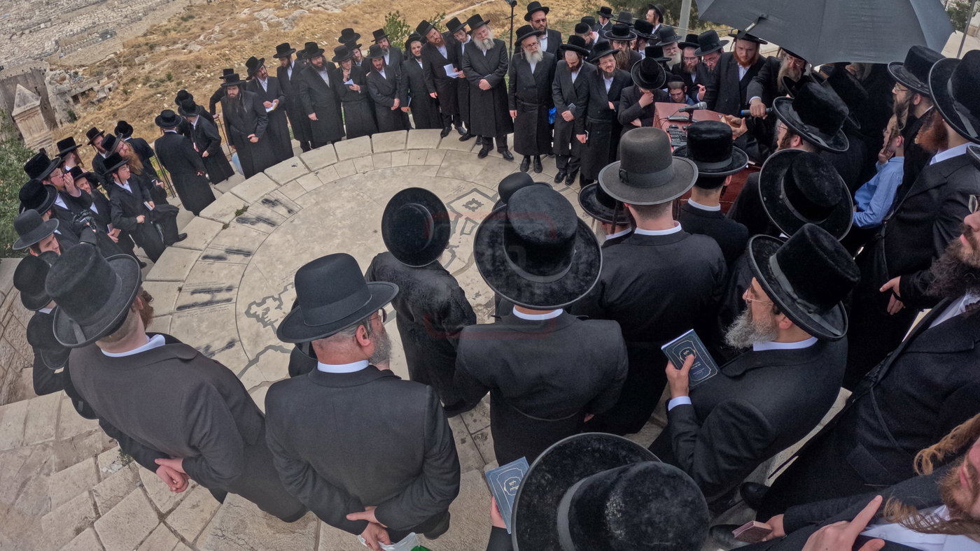 האדמו''ר מסערדאהעלי בארה"ק